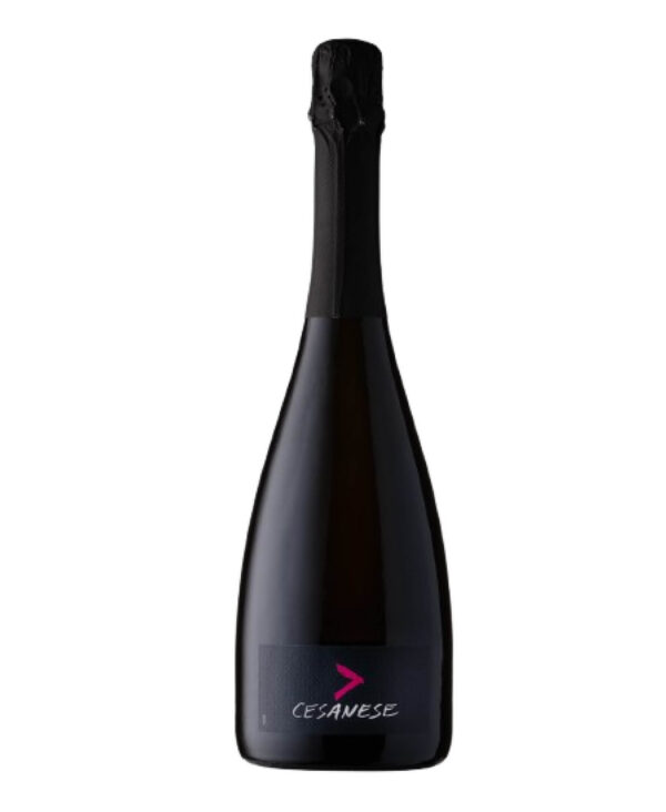LOLIVELLA Cesanese Rosso IGT Lazio 2022 Vino Fermo Brut Rosé