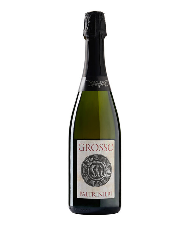 Paltrinieri Lambrusco di Modena DOC Rosso Dosaggio Zero 2021 Bollicine SQNPI Emilia Romagn