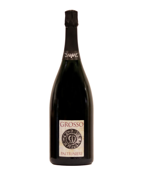 Paltrinieri Lambrusco di Modena DOC Rosso Frizzante 2019 Emilia Romagna