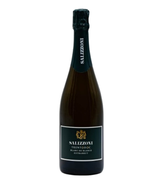Salizzoni Trentodoc 2018 DOC Sparkling White Extrabrut Trentino