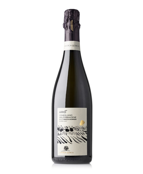 LAntica Quercia Prosecco Superiore DOCG Conegliano Valdobbiadene Bianco Bio 2025 Extra Dry