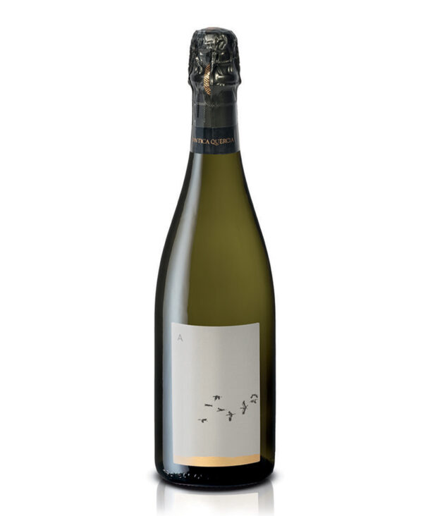 LAntica Quercia Conegliano Prosecco DOCG Brut Nature Biologico 2022 Bianco