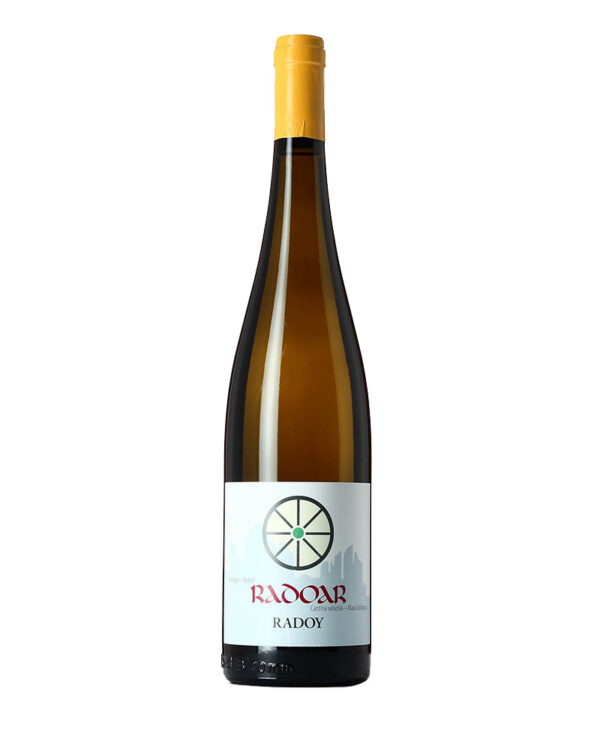 Radoar Kerner Bianco 2023 Alto Adige Vino Biologico Fermo