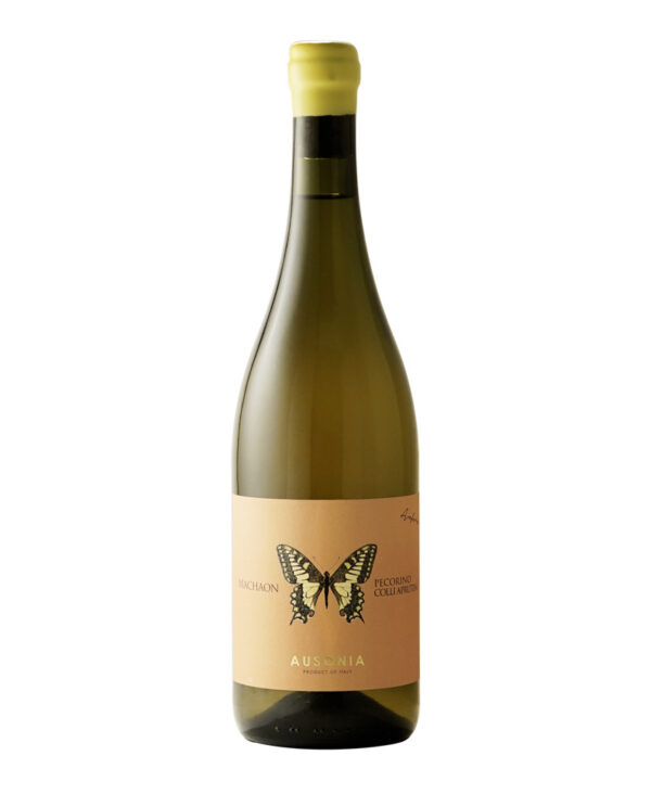 Ausonia Anfora Machaon Pecorino IGT Colli Aprutini Bianco 2022 Biologico