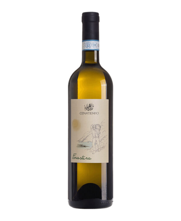 Cenatiempo Forastera Ischia DOC Bianco 2023 Vino Fermo Campania