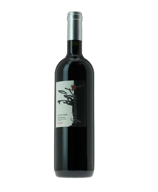 Villa Dora Lacryma Christi Rosso DOC Campania 2014 Vino Fermo