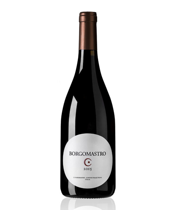 LUNAROSSAVINI Aglianico IGT Colli di Salerno Rosso 2018 Vino Fermo