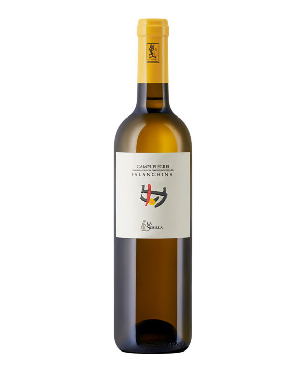La Sibilla Falanghina Campi Flegrei DOC Bianco 2024 0 375 l