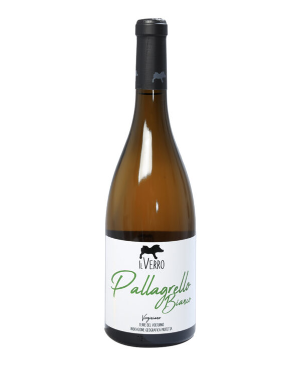 Il Verro Pallagrello Bianco IGT Campania Biologique 2024 Vin Fermo