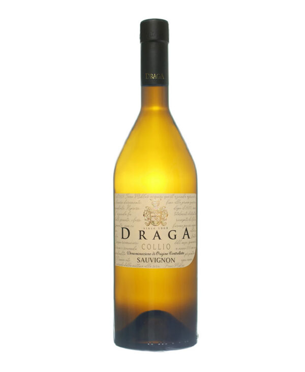 Draga Sauvignon Collio DOC Bianco 2023 Friuli Venezia Giulia Vino Fermo