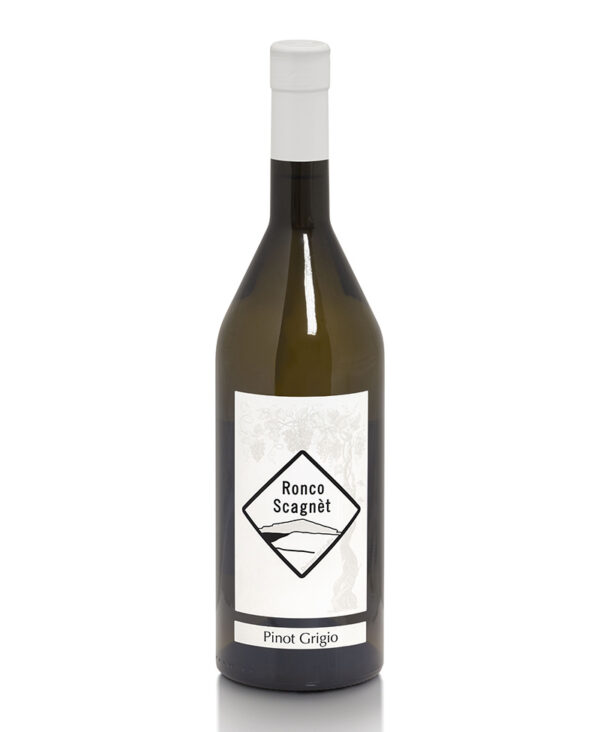 Ronco Scagnèt Pinot Grigio Collio DOC Bianco 2023 Friuli Venezia Giulia