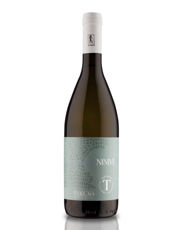 Tarlao Ninive Malvasia Bianco DOC Friuli Venezia Giulia 2024 Vino Fermo