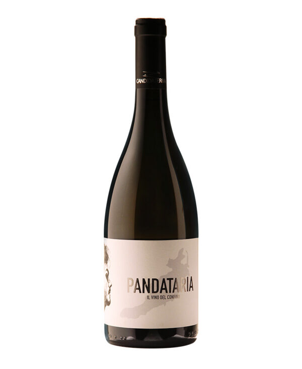 CANDIDATERRA Pandataria Lazio Bianco Vino Fermo 2023