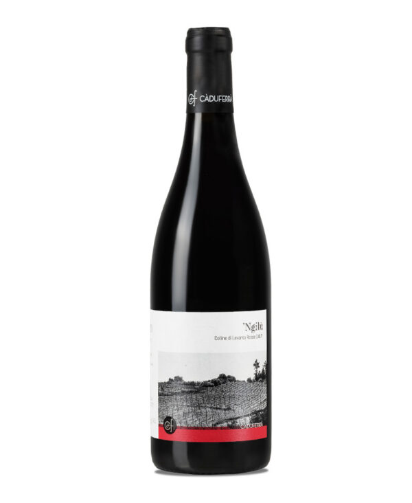 Ca du Ferra 2022 Ngilu Colline di Levanto Rosso DOP Liguria