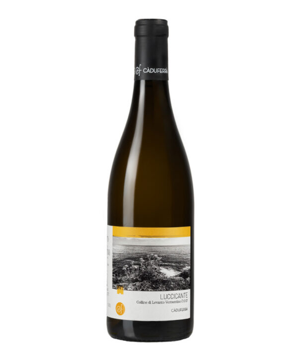Ca du Ferra Vermentino DOP Colline di Levanto Bianco 2024
