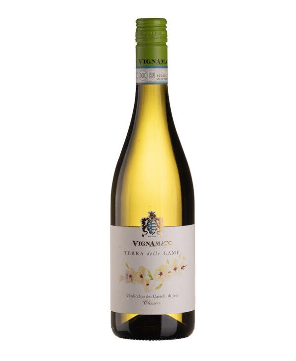 VIGNAMATO Verdicchio Castelli di Jesi Classico DOC Bianco 2024