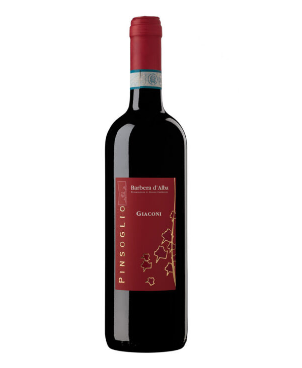 Pinsoglio Fabrizio Barbera d Alba DOC Rosso 2020 Piemonte vino fermo