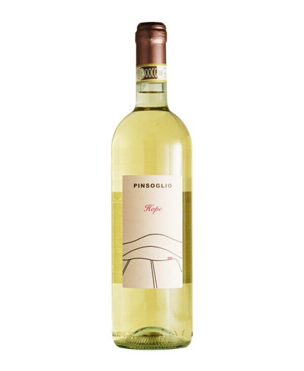 Pinsoglio Fabrizio Roero Arneis Vino Bianco Fermo Piemonte