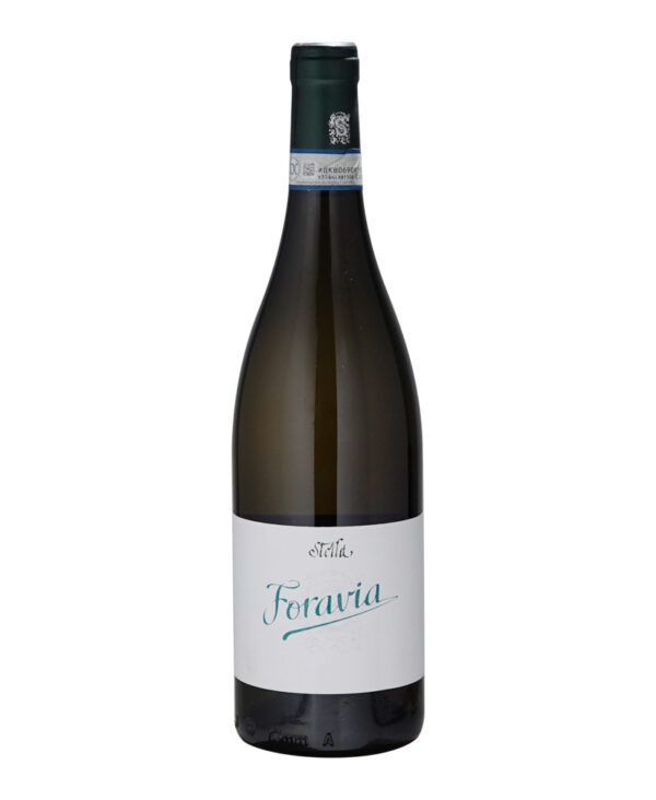Stella Riesling Foravia 2023 Piemonte DOC Vino Bianco Fermo
