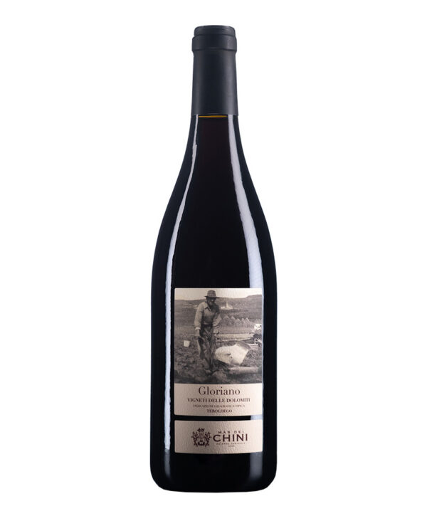 Mas Dei Chini Teroldego IGT Trentino Rosso 2020 Vino Fermo