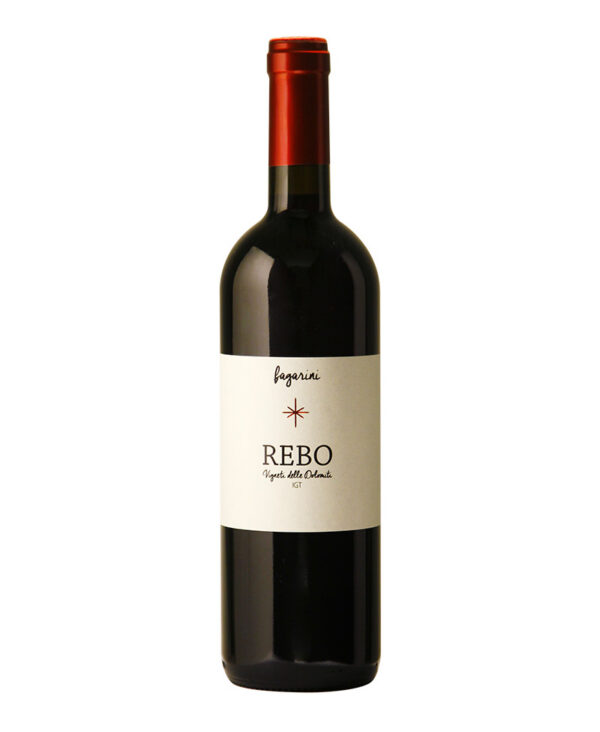 Fagarini Rebo Rosso IGT Trentino 2022 Vino Fermo