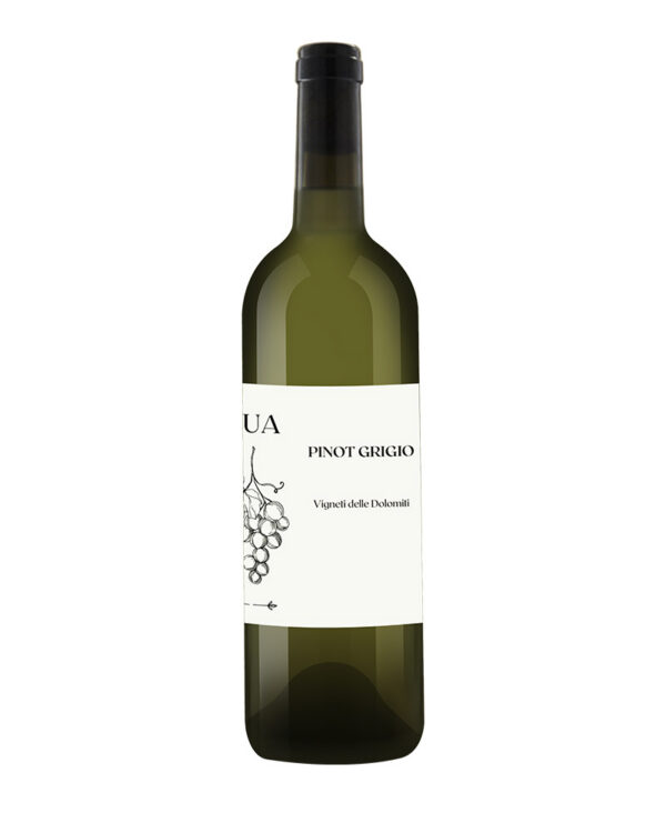 LUA Pinot Grigio IGT Trentino 2023 Vino Bianco Fermo