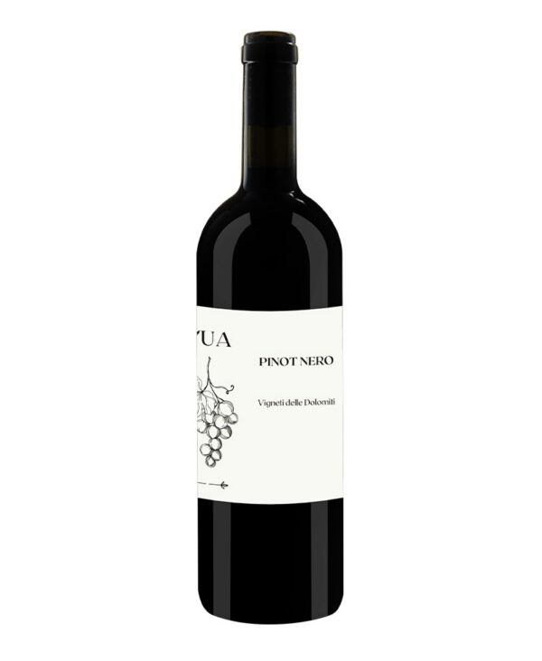 LUA Pinot Nero Rosso IGT Trentino 2023 Vino Fermo Italiano