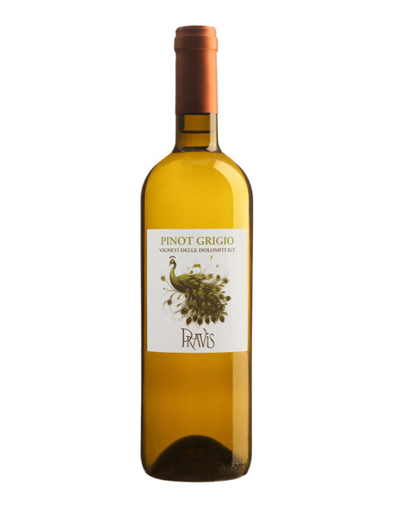 Pravis Pinot Grigio 2023 IGT Trentino Bianco Vino Fermo 0 375 l