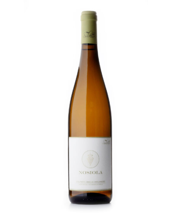 Salvetta Nosiola Bianco IGT Trentino 2019 Biologico Non Filtrato