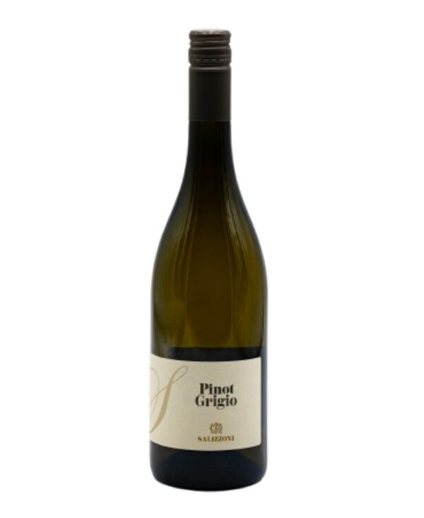 Salizzoni Pinot Grigio 2024 Trentino Vino Bianco Fermo