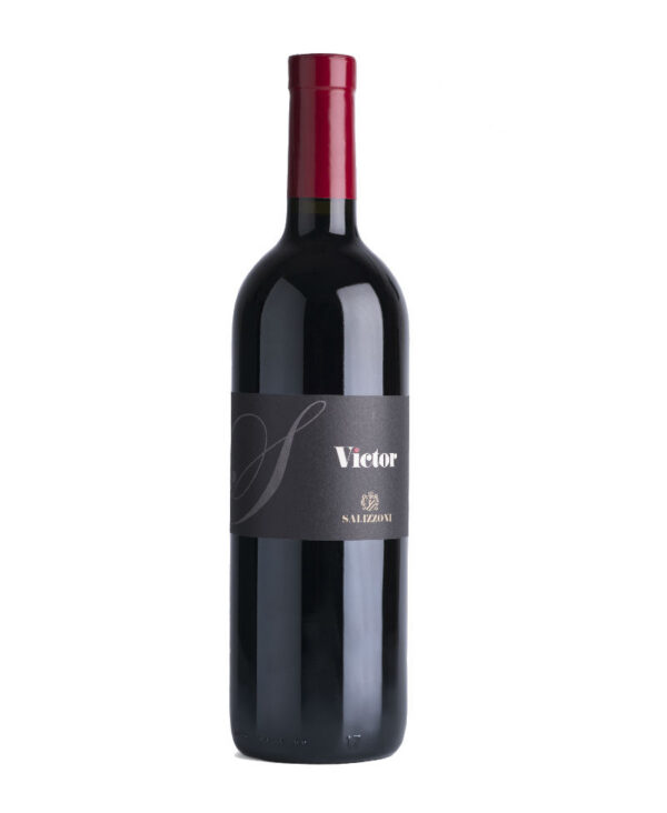 Salizzoni 2021 Trentino DOC Rosso Vino Fermo Superiore