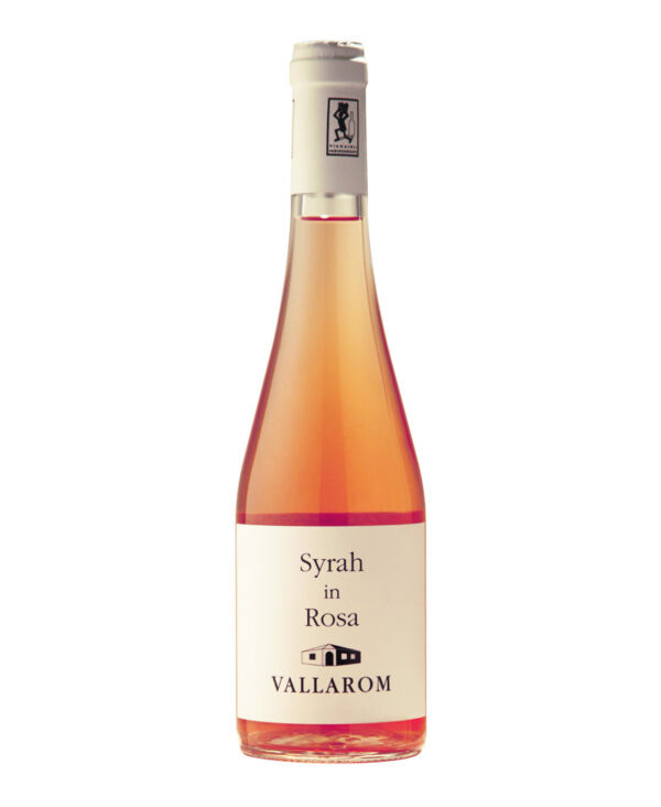 Vallarom Syrah Rosato IGT Trentino 2021 Bio Vegan affinato in anfora