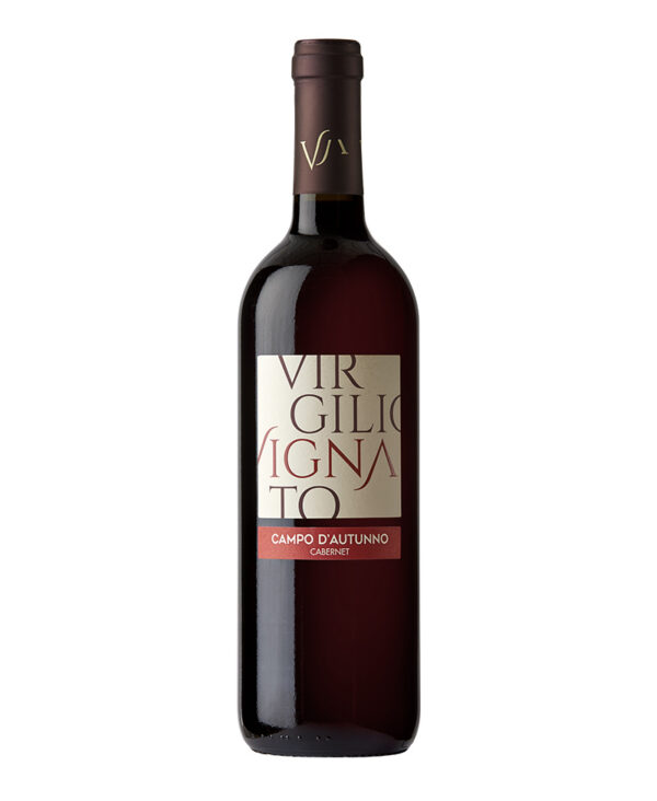 Vignato Virgilio Cabernet IGT Veneto Rosso Biologico 2023 Campo dAutunno