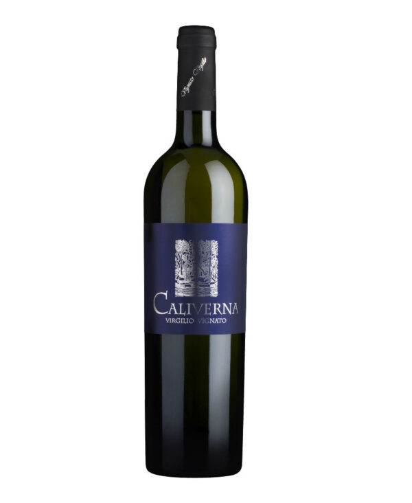 Vignato Virgilio Garganega Bianco Veneto IGT 2023 vino fermo