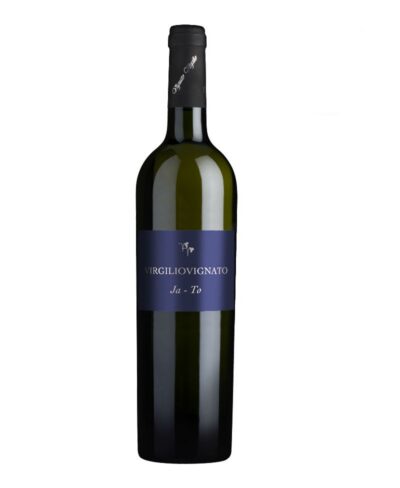 Vignato Virgilio IGT Veneto Rosso 2021 Vino Fermo Italiano
